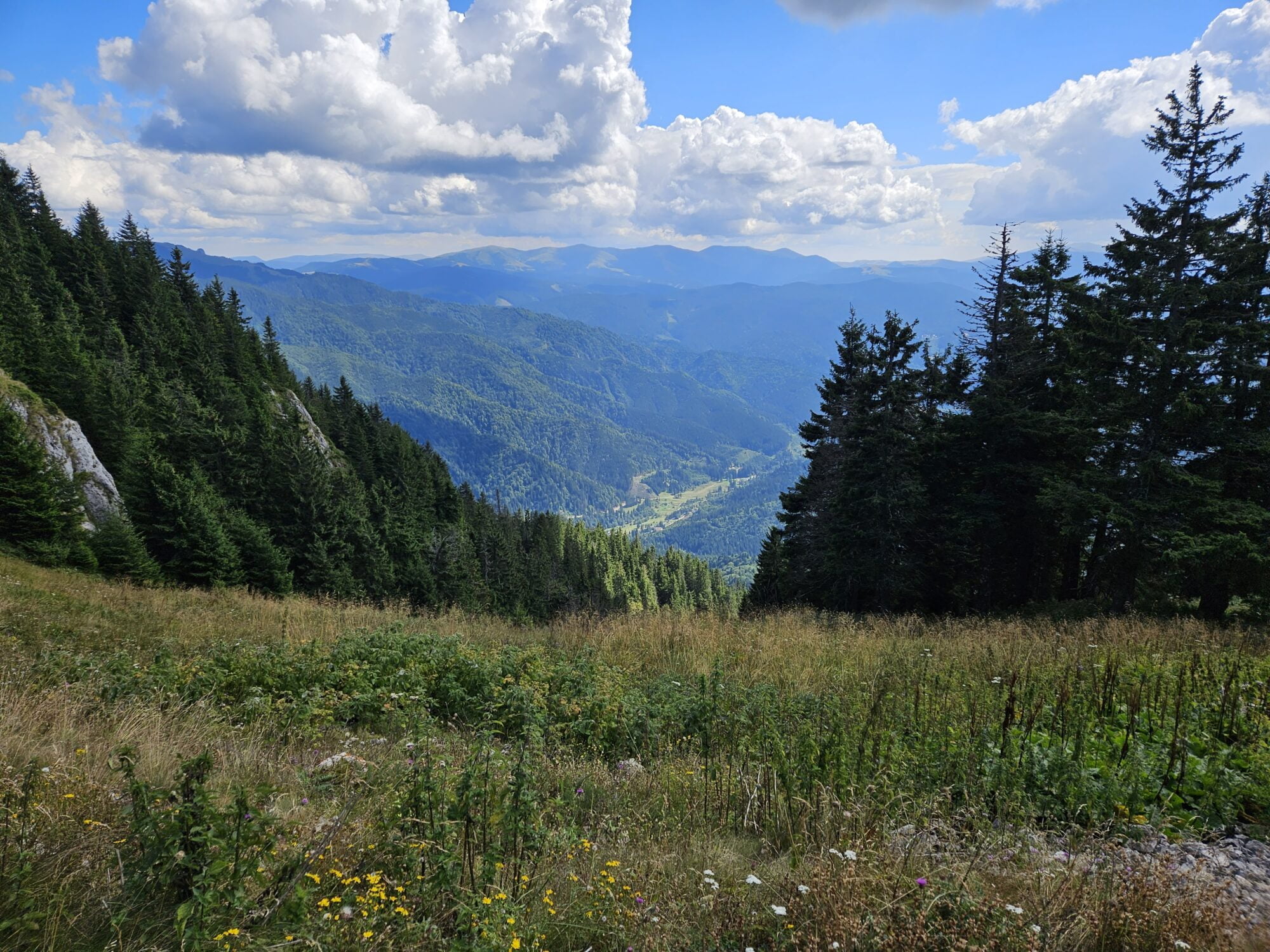Outdoor Activities to do in Brașov