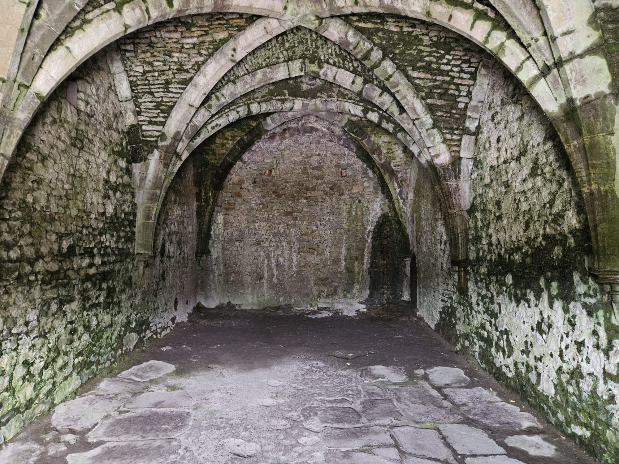 Beer Cellar