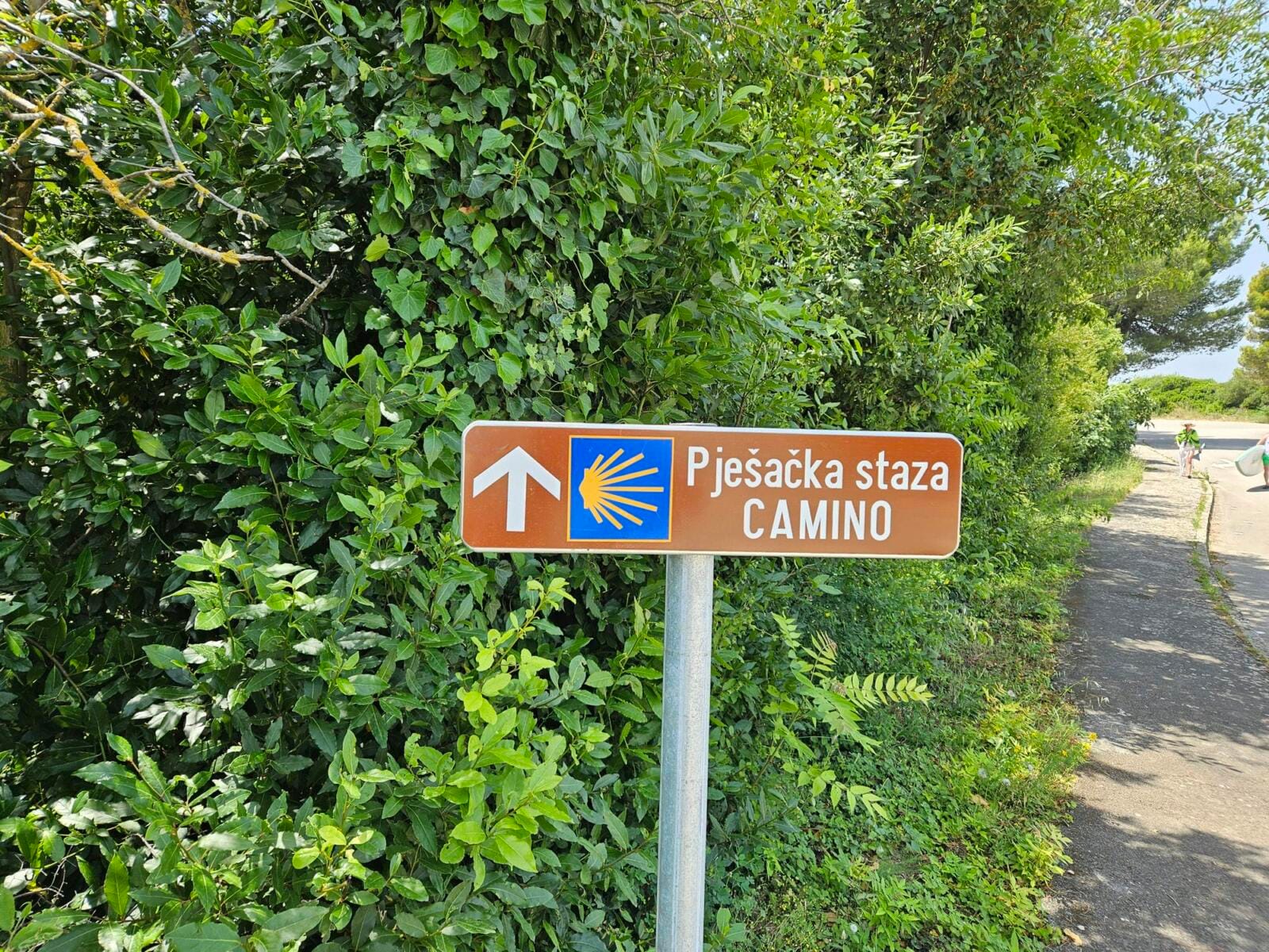 Camino Route Marker