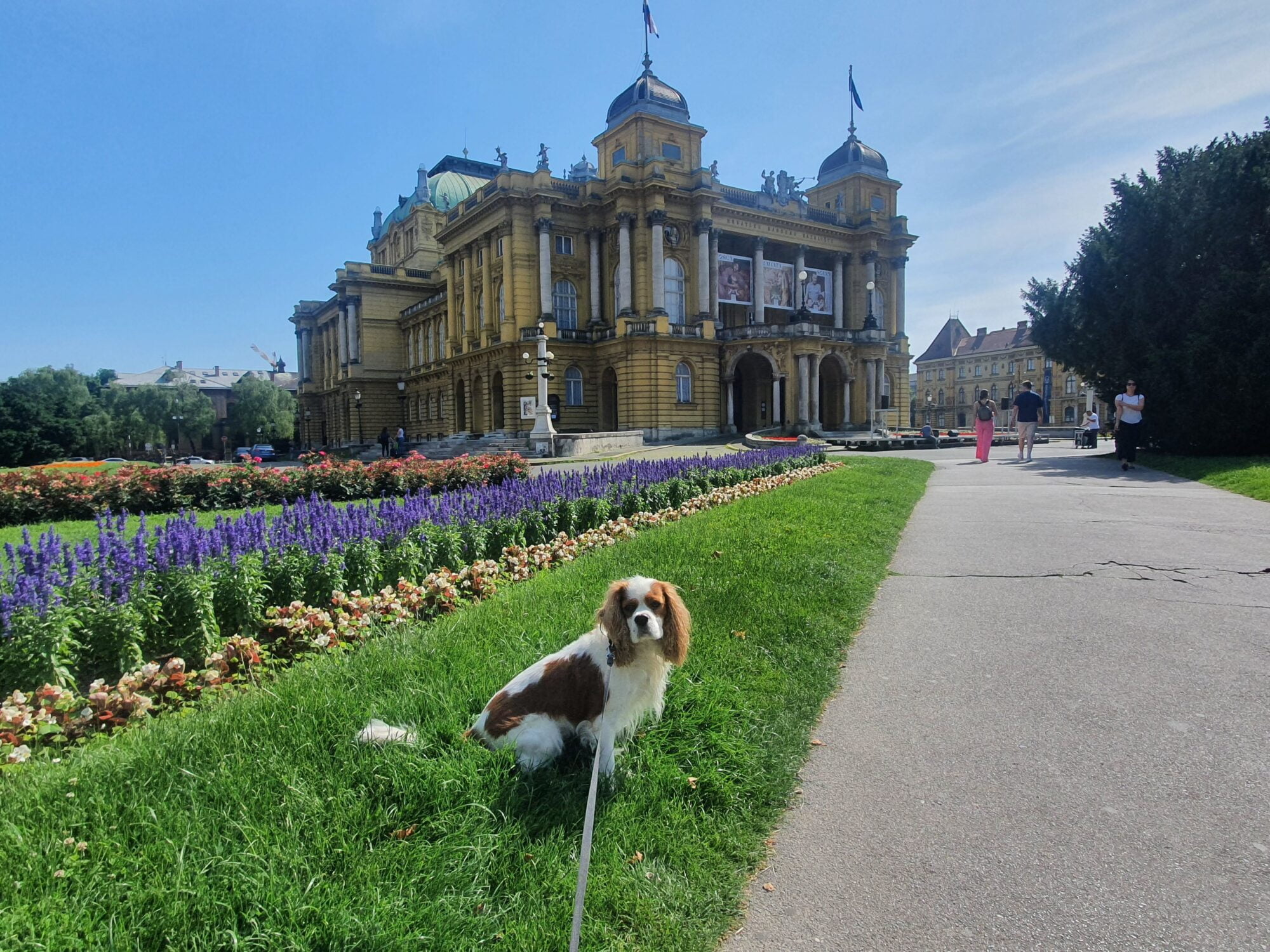 Croatian National Theatre and Dog