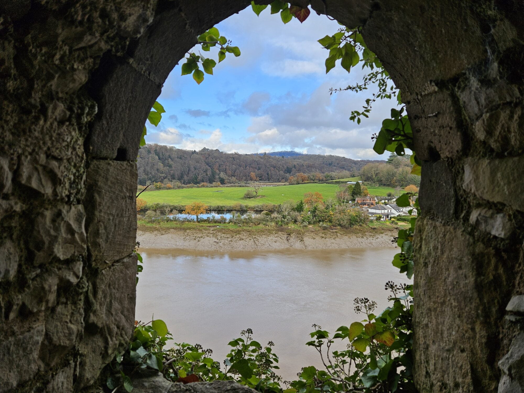 Dog Friendly Castle