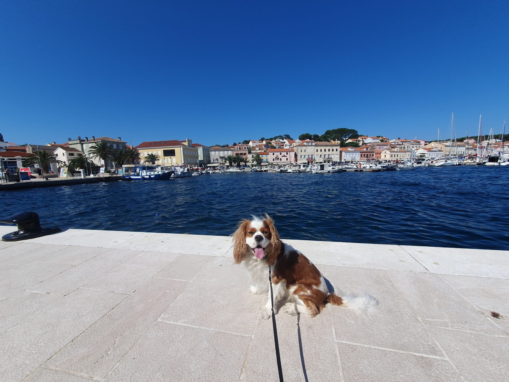 Dog Friendly Croatia