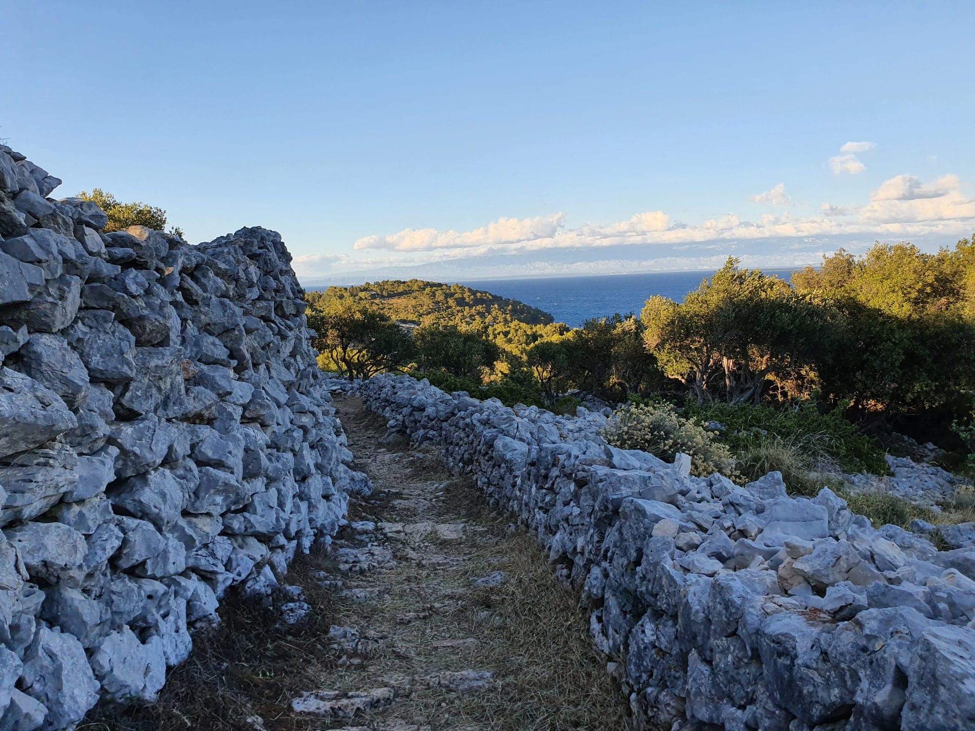 Hiking Losinj