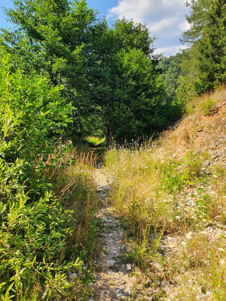 Hiking Trail