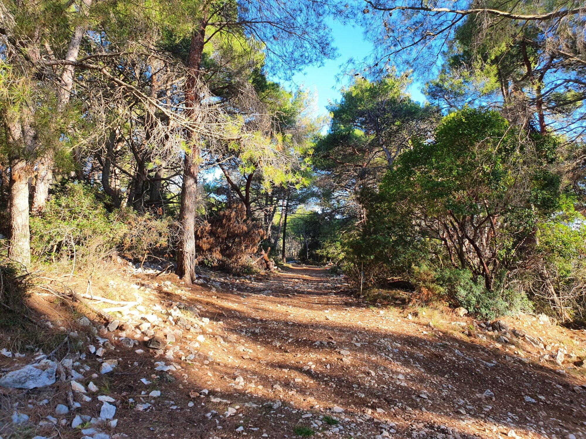 Hiking Trail Losinj Island