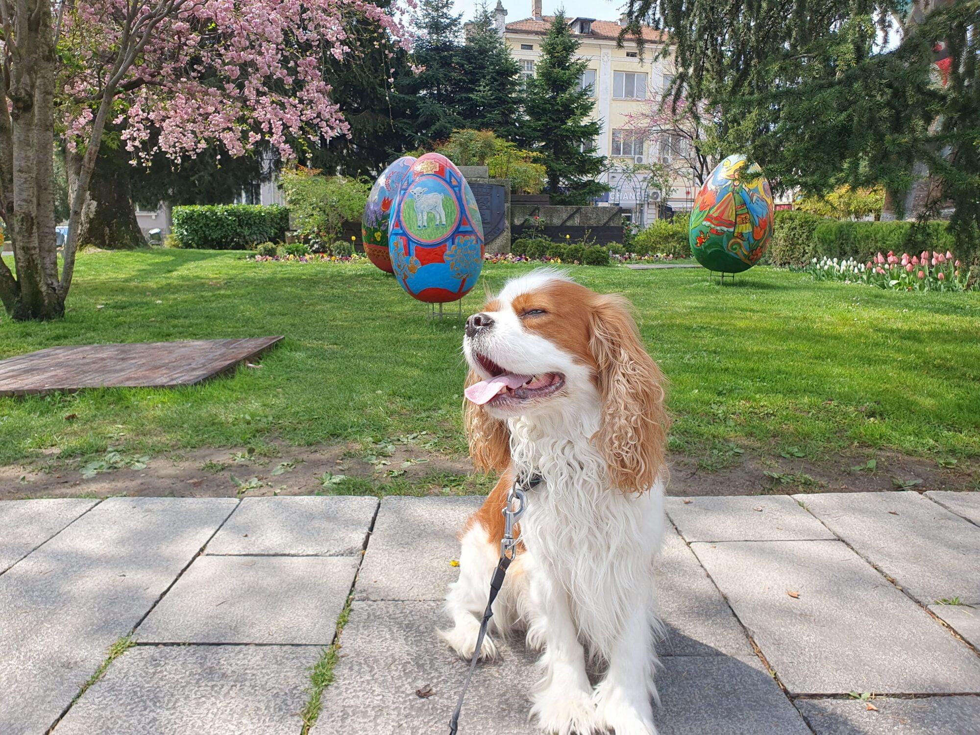 Plovdiv Easter Dog Walk