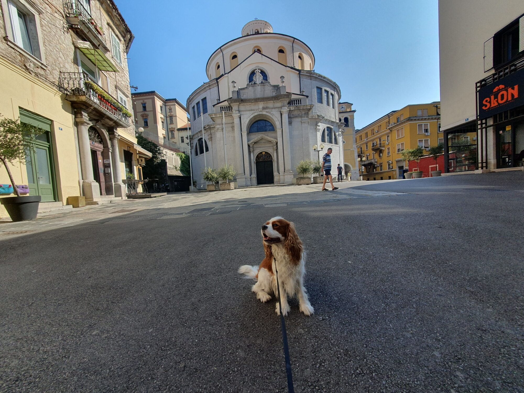 Rijeka Cathedral with a dog