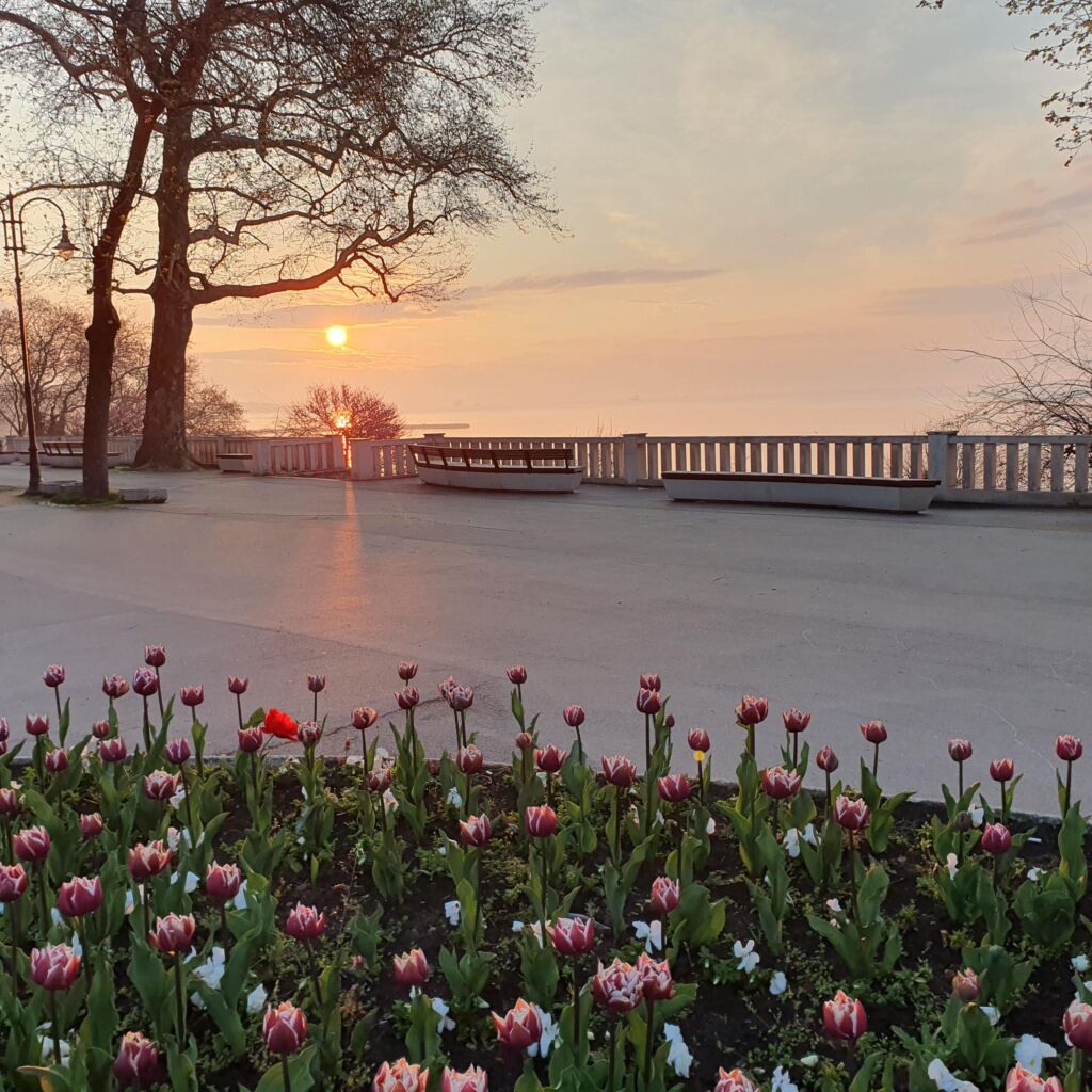 Sunrise Panoramic Benches