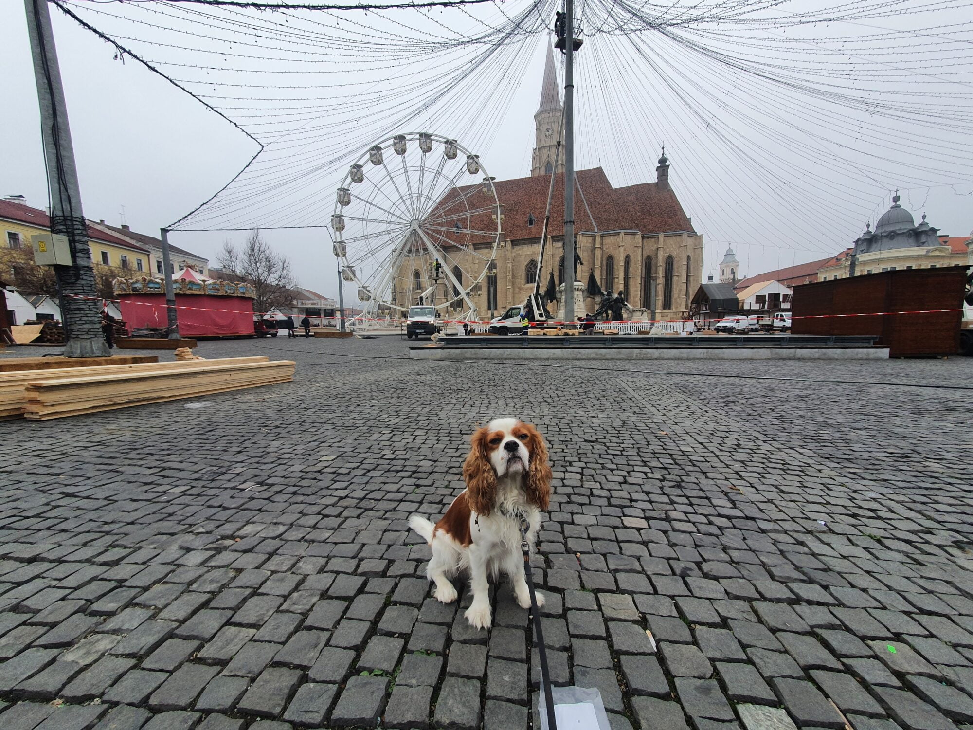 Things to do in Cluj Napoca