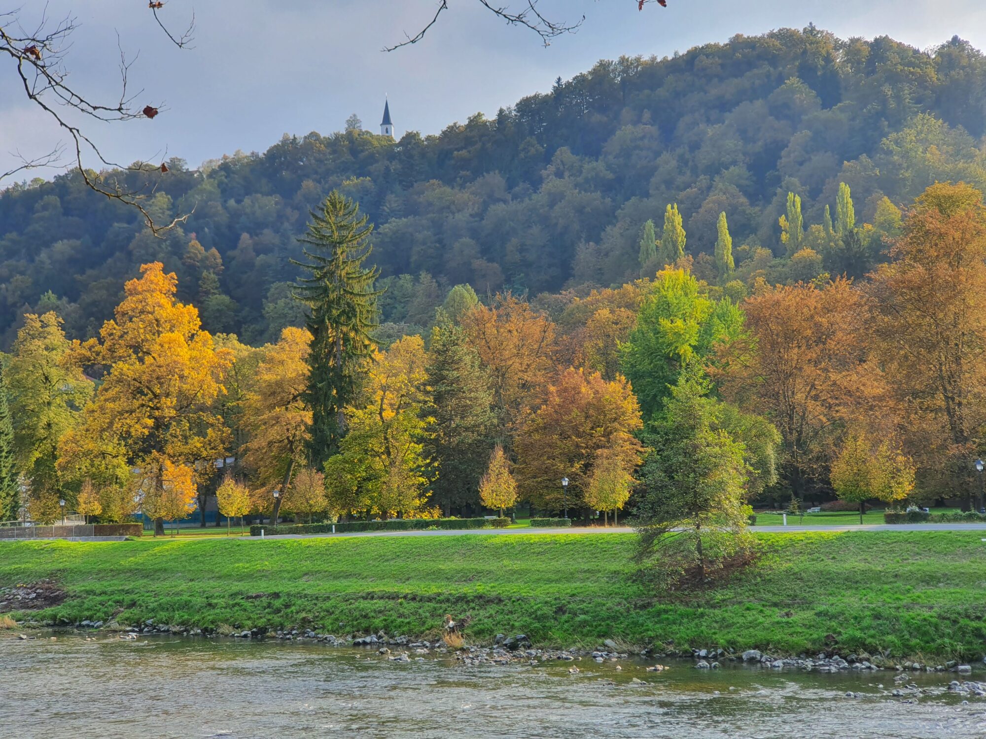 Autumn Woods & Church on Hill