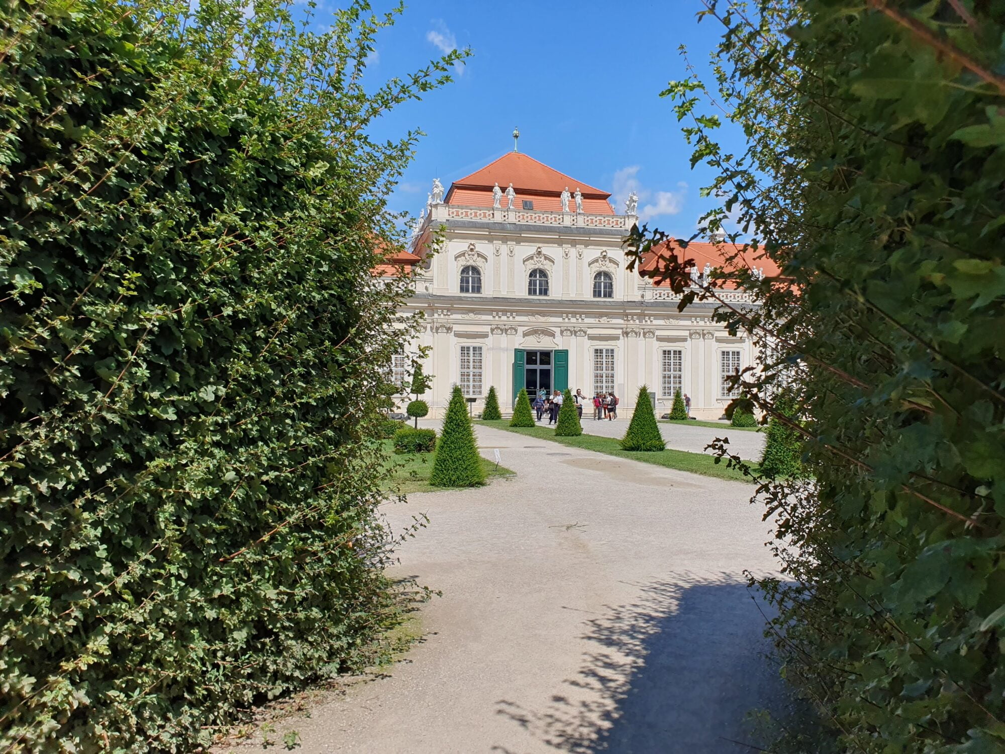 Belvedere Hedges