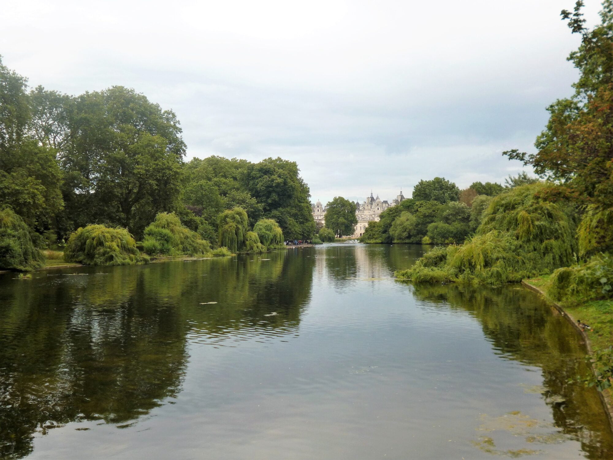Buckingham Palace View