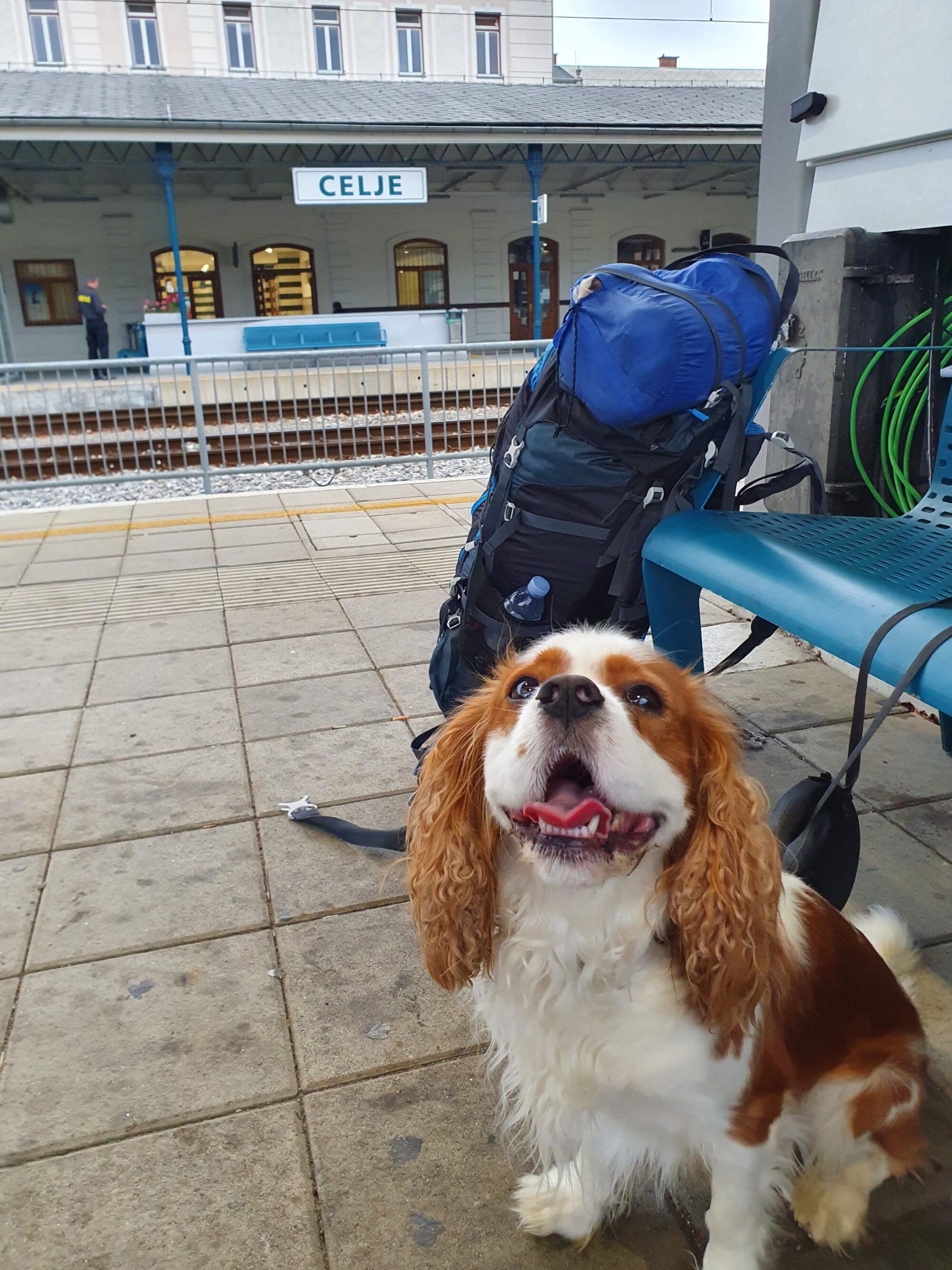 Celje railway station