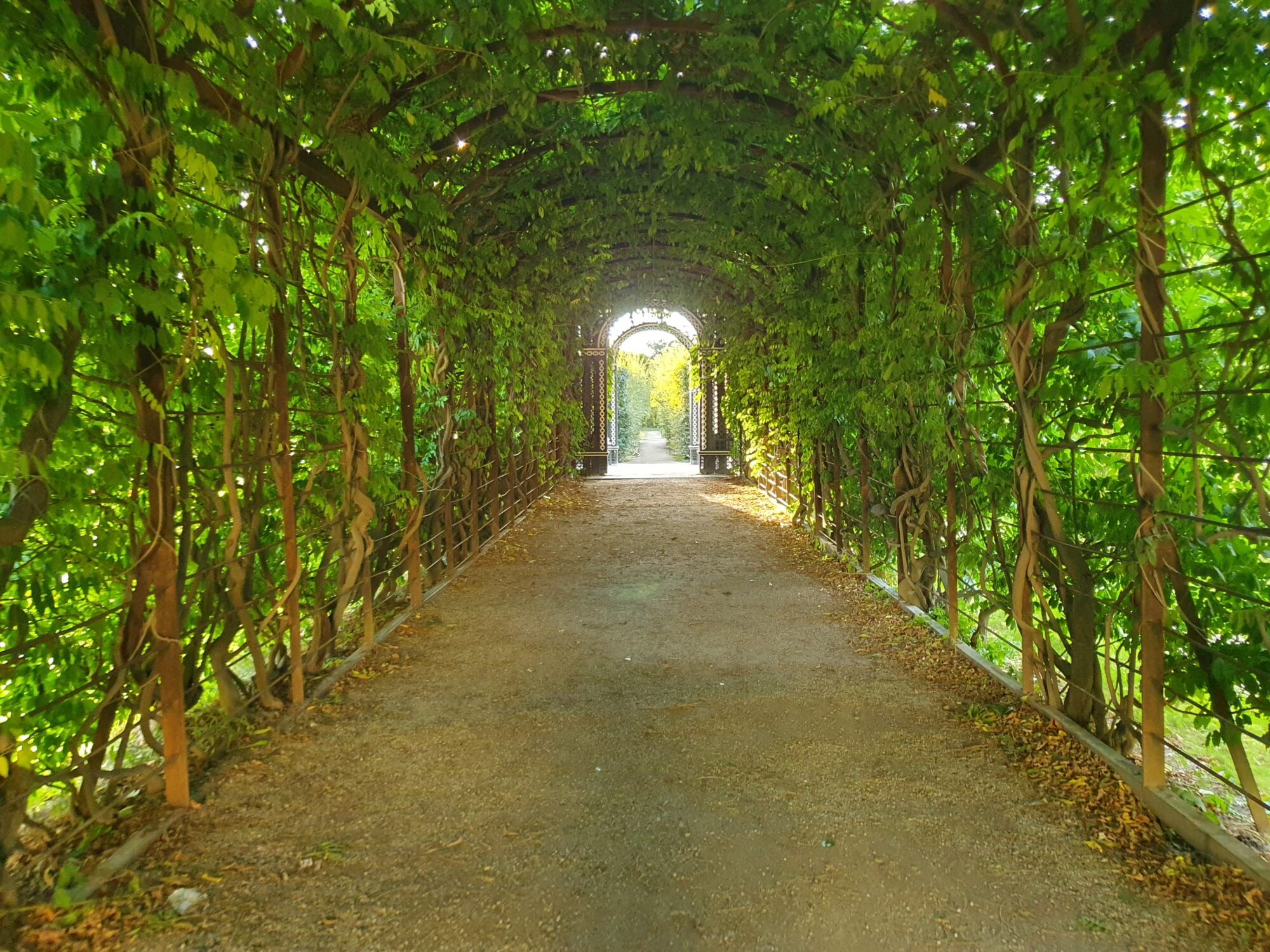 Chamber Garden Shade