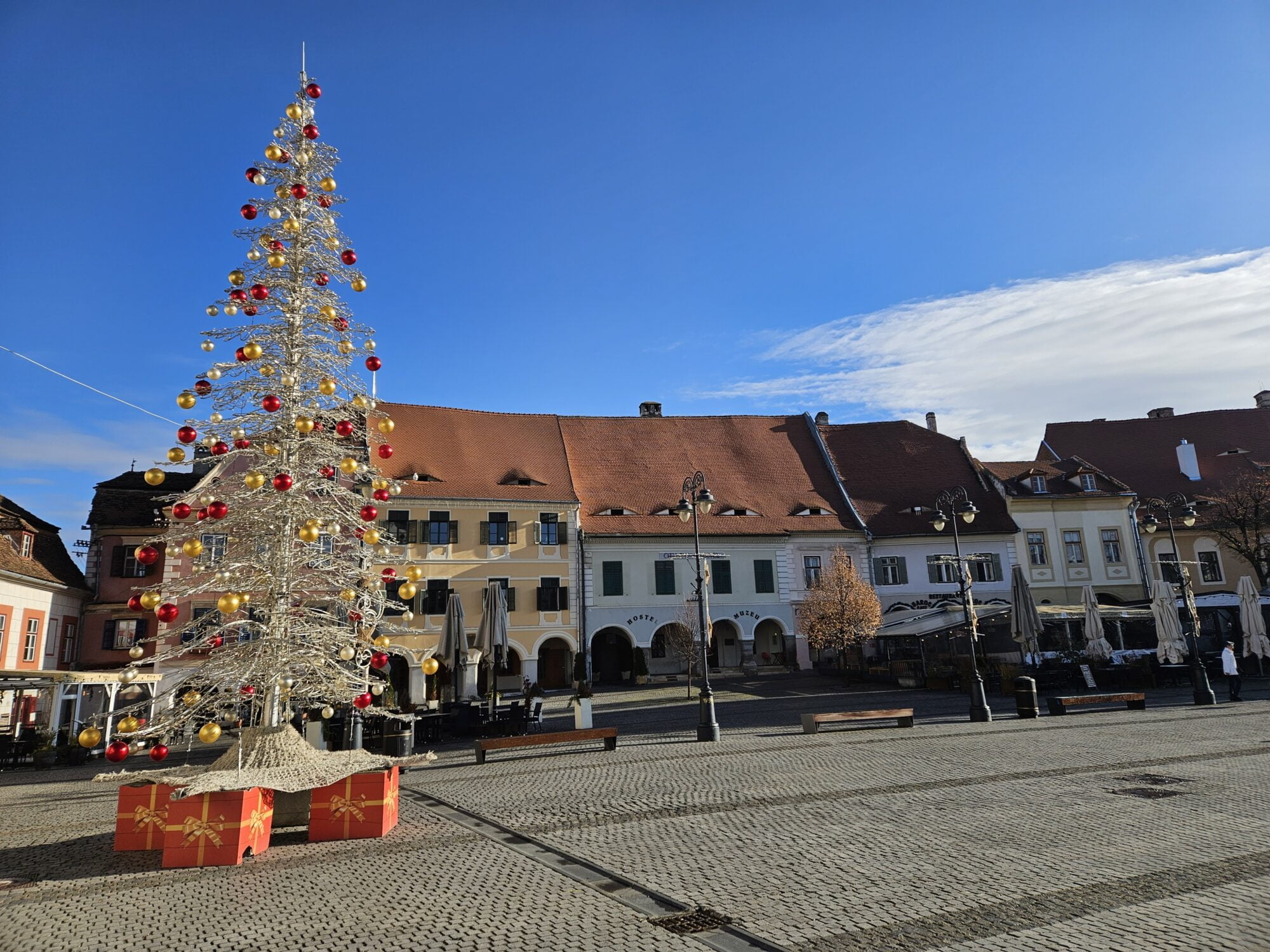 Christmas Tree Sibiu