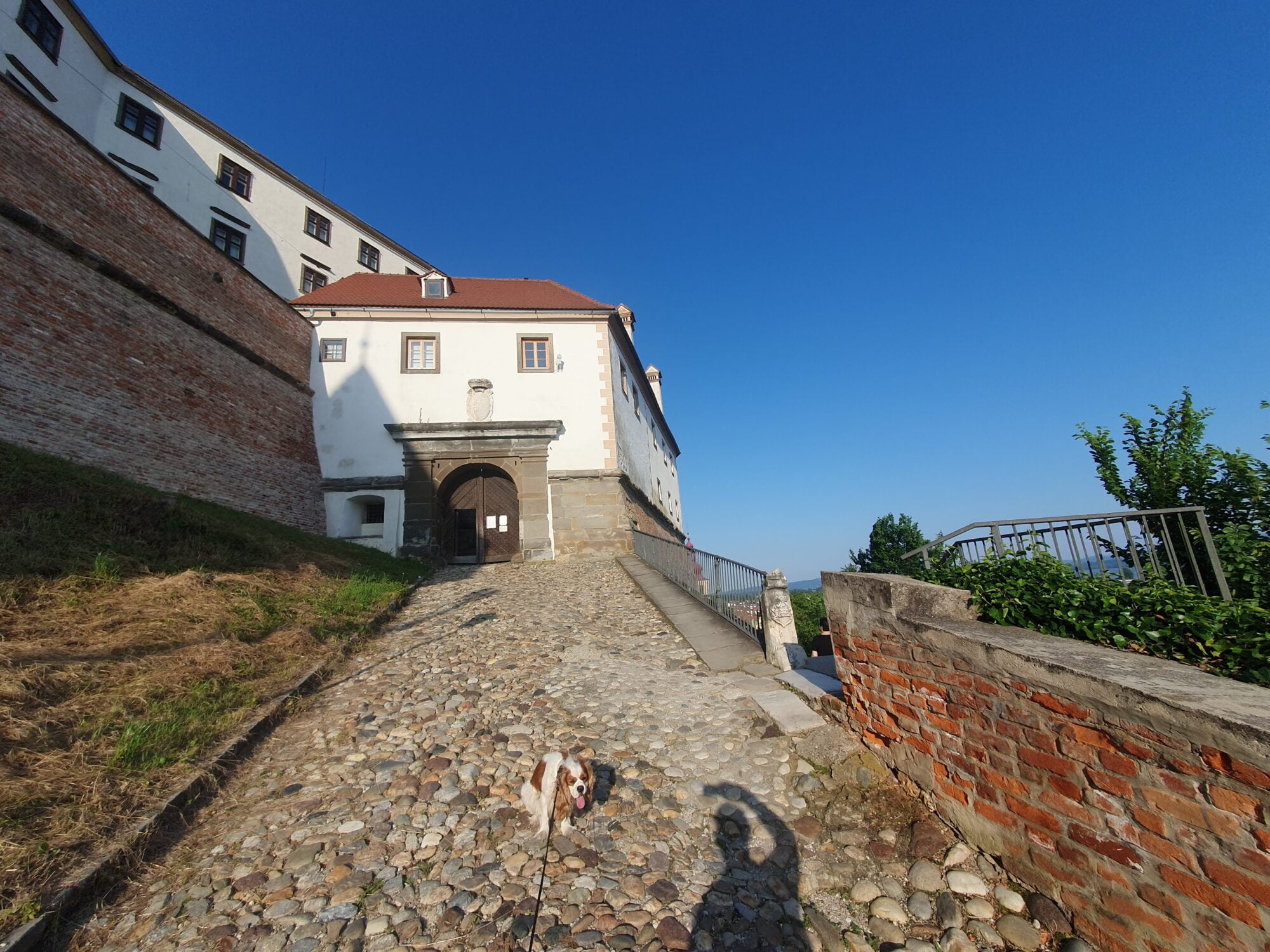 Cobbled Dog Walk Ptuj Castle