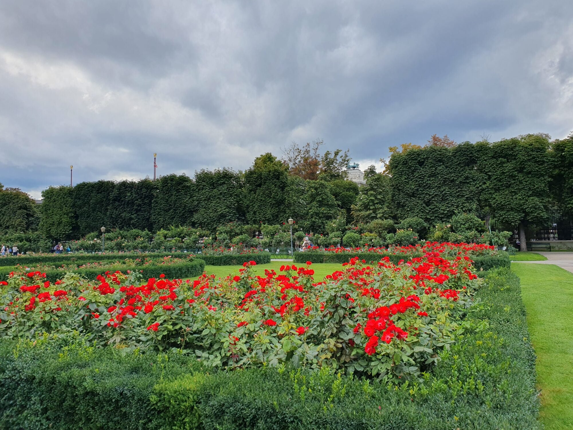 Volksgarten Red Roses