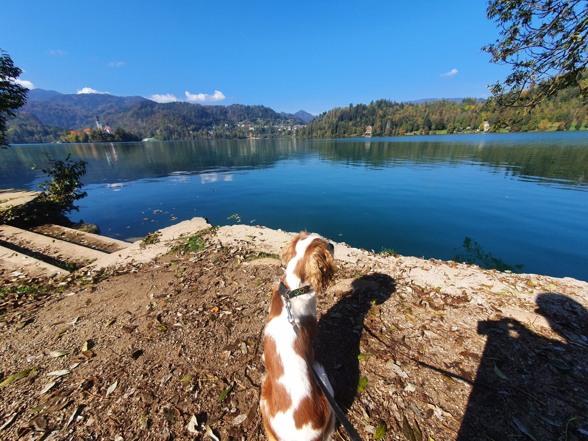Walkies at Lake Bled