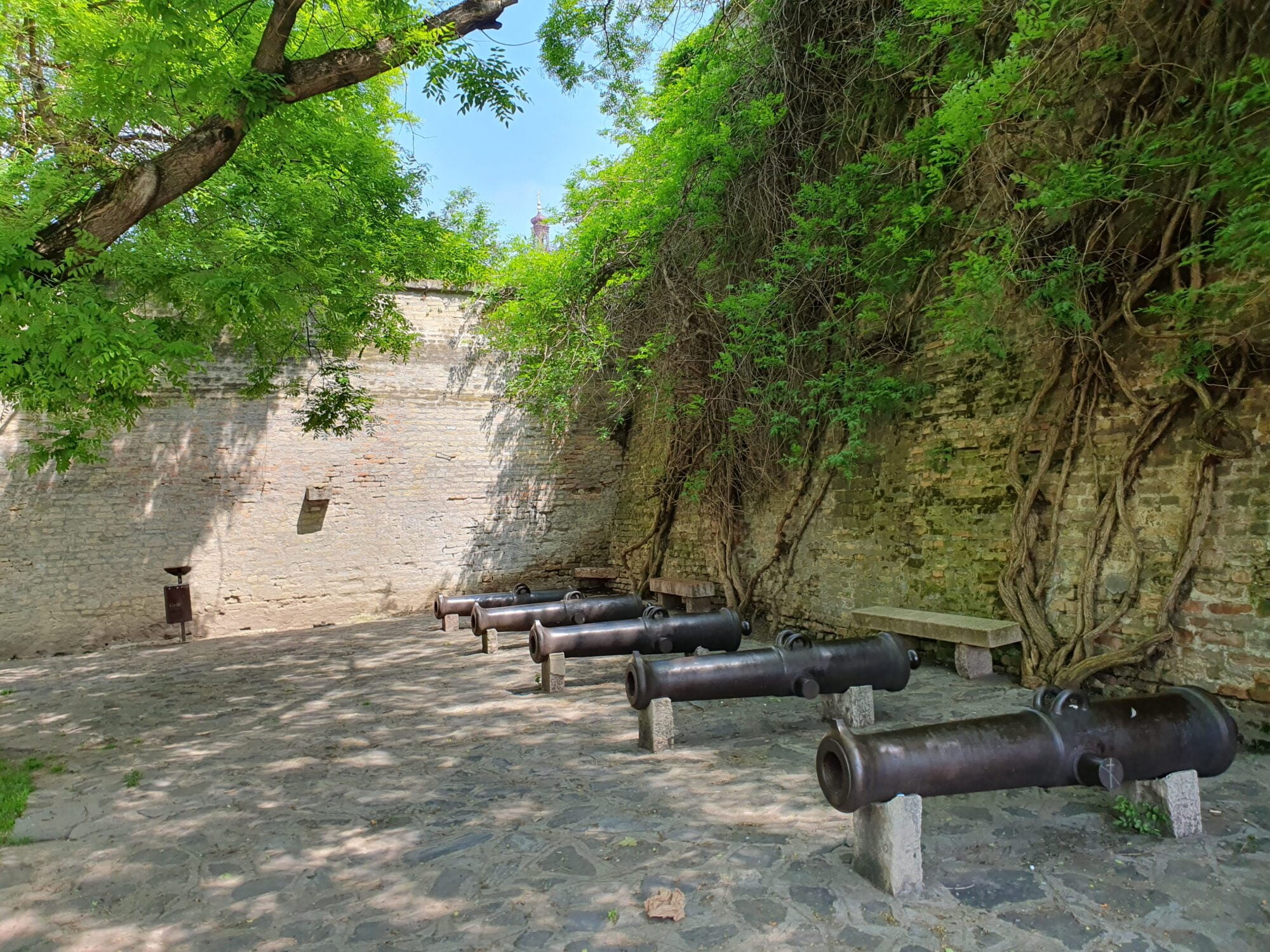 Cannons at Castle Wall