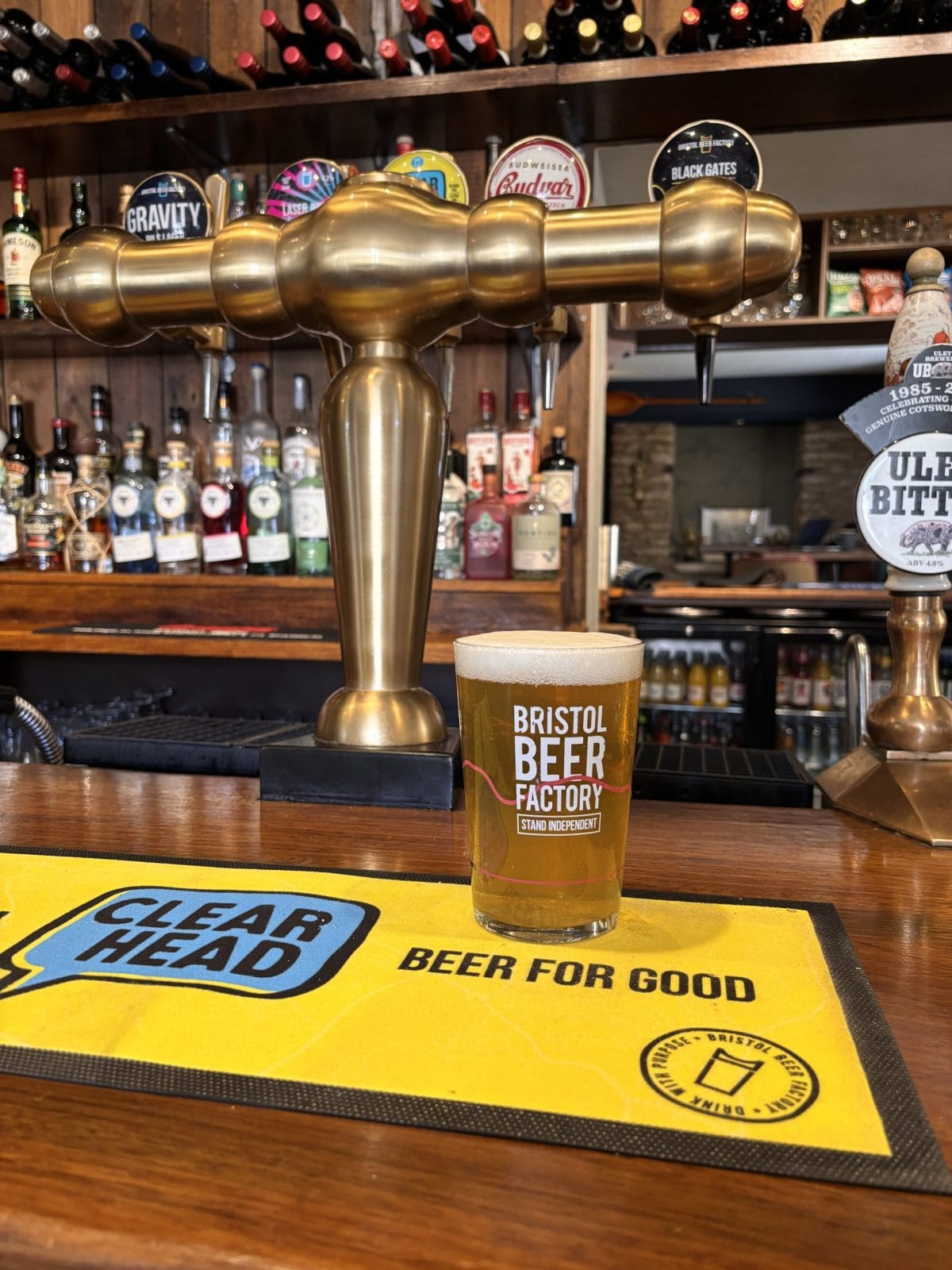 Cat & Custard Pot Beers