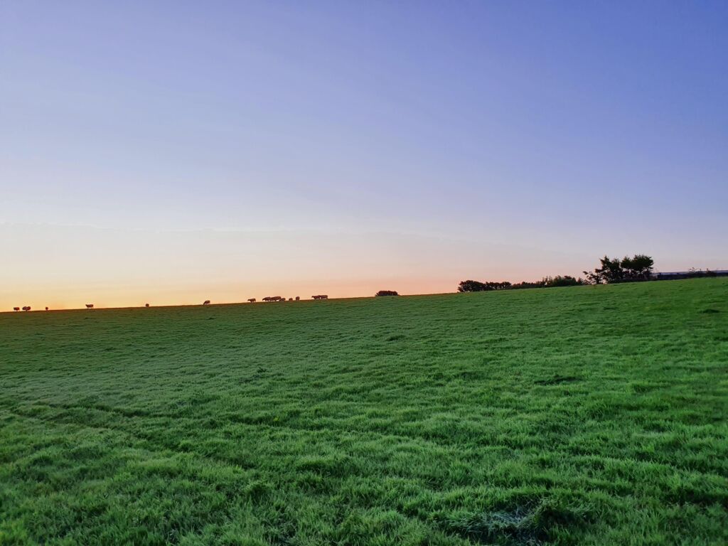 Countryside Sunrise Walks