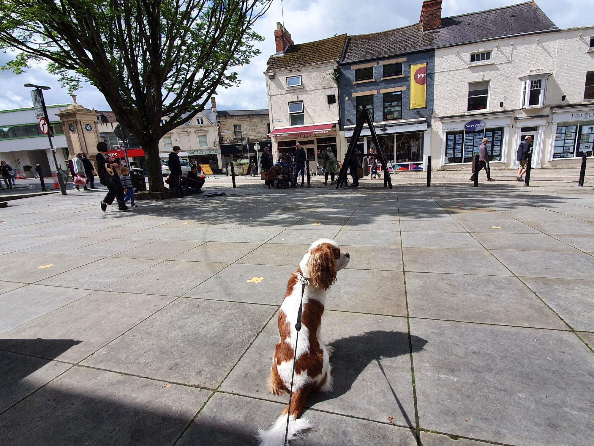 Dog Friendly Cotswolds