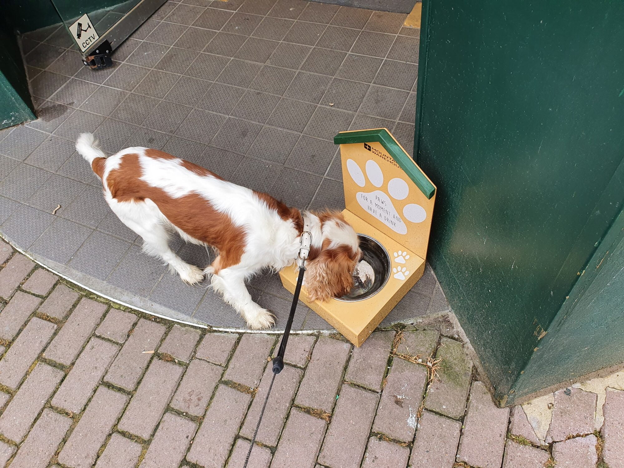 Dog Friendly Shops