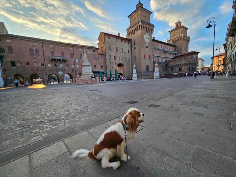 Dog Walk Ferrara