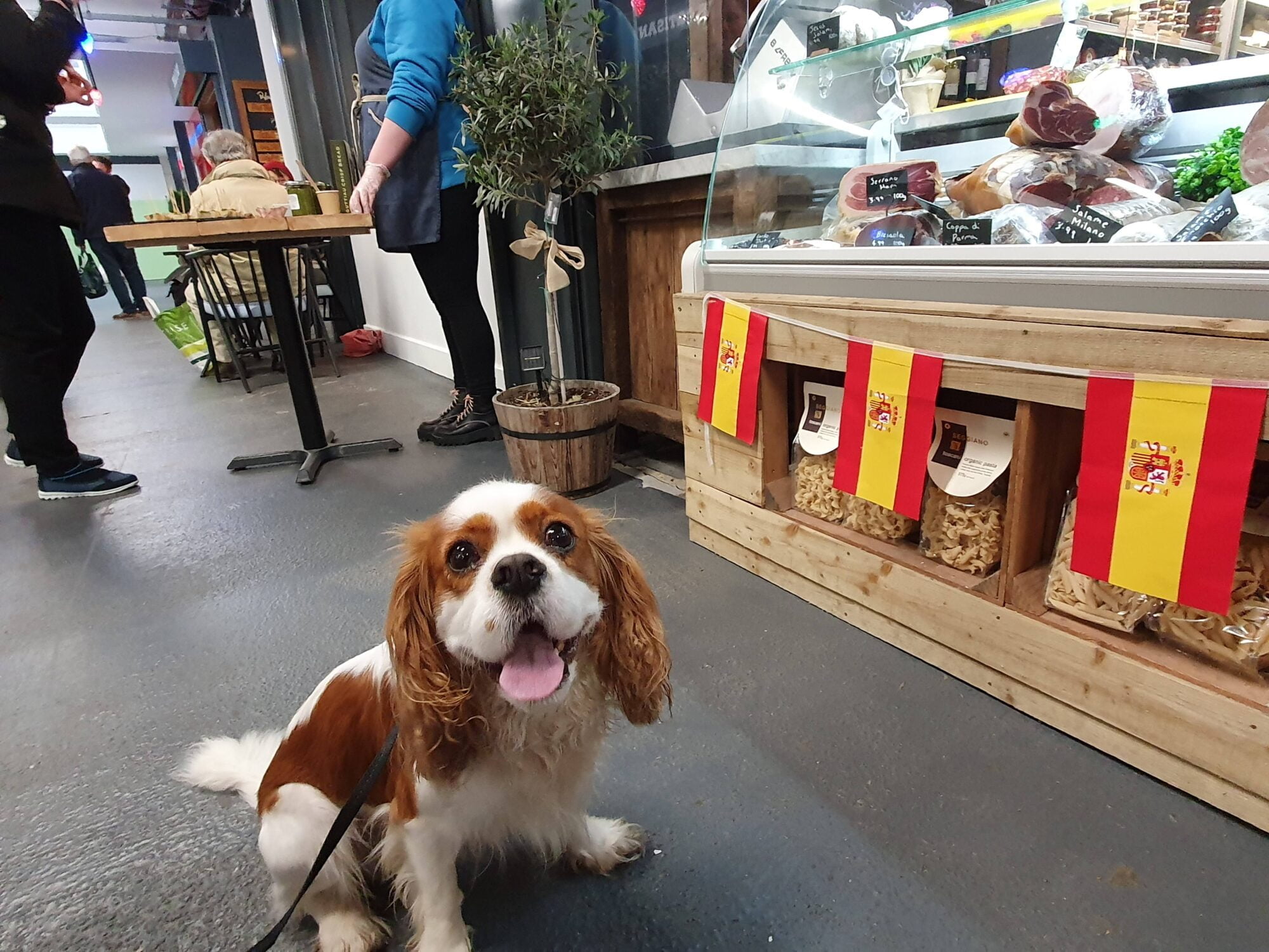 Five Valleys Market Stroud Dog Friendly