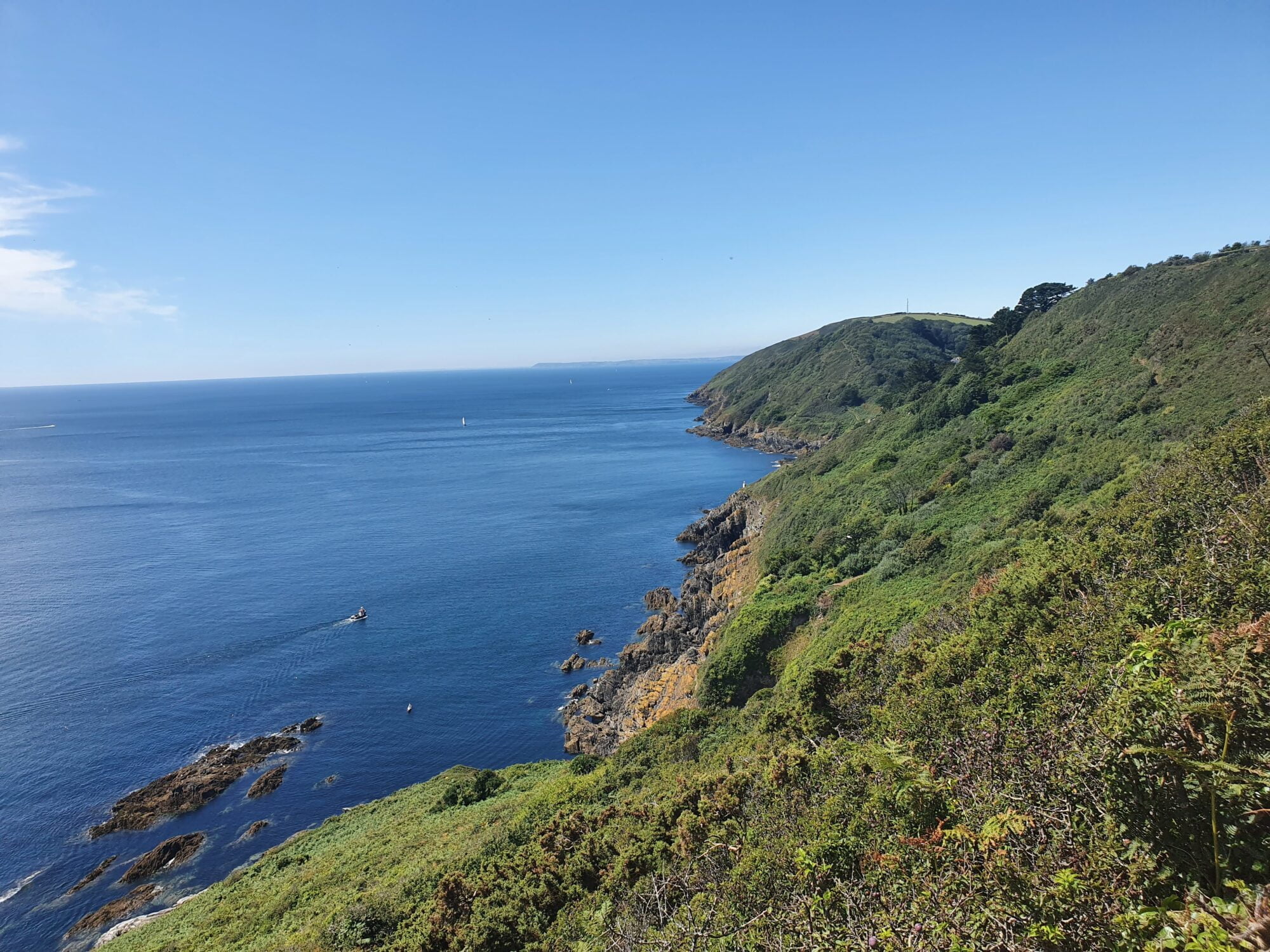 Green cliff cove