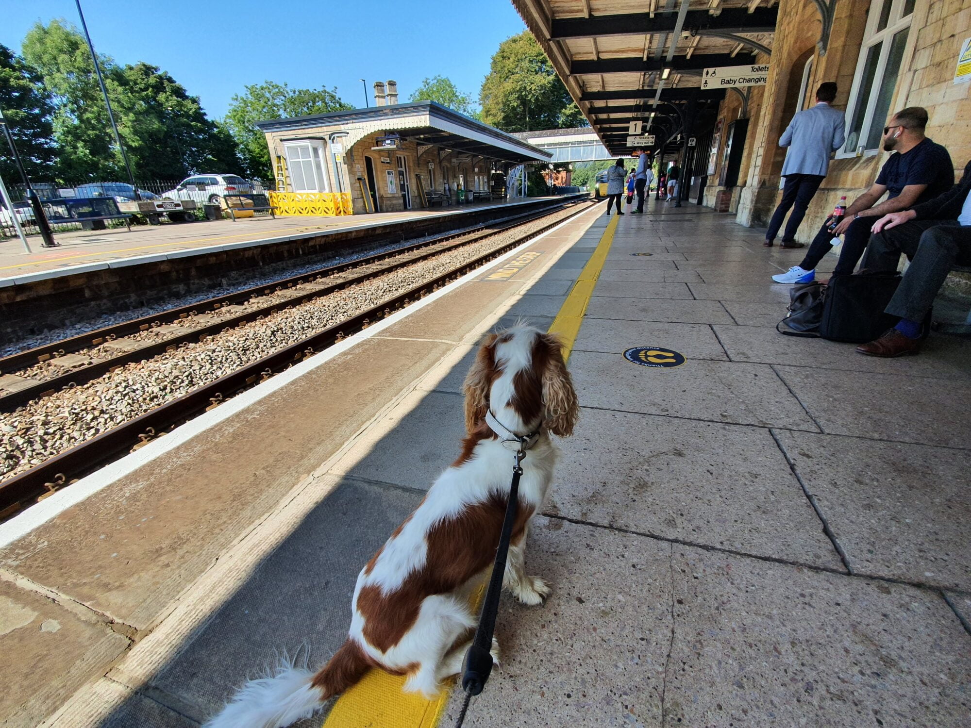 Interrail UK With A Dog