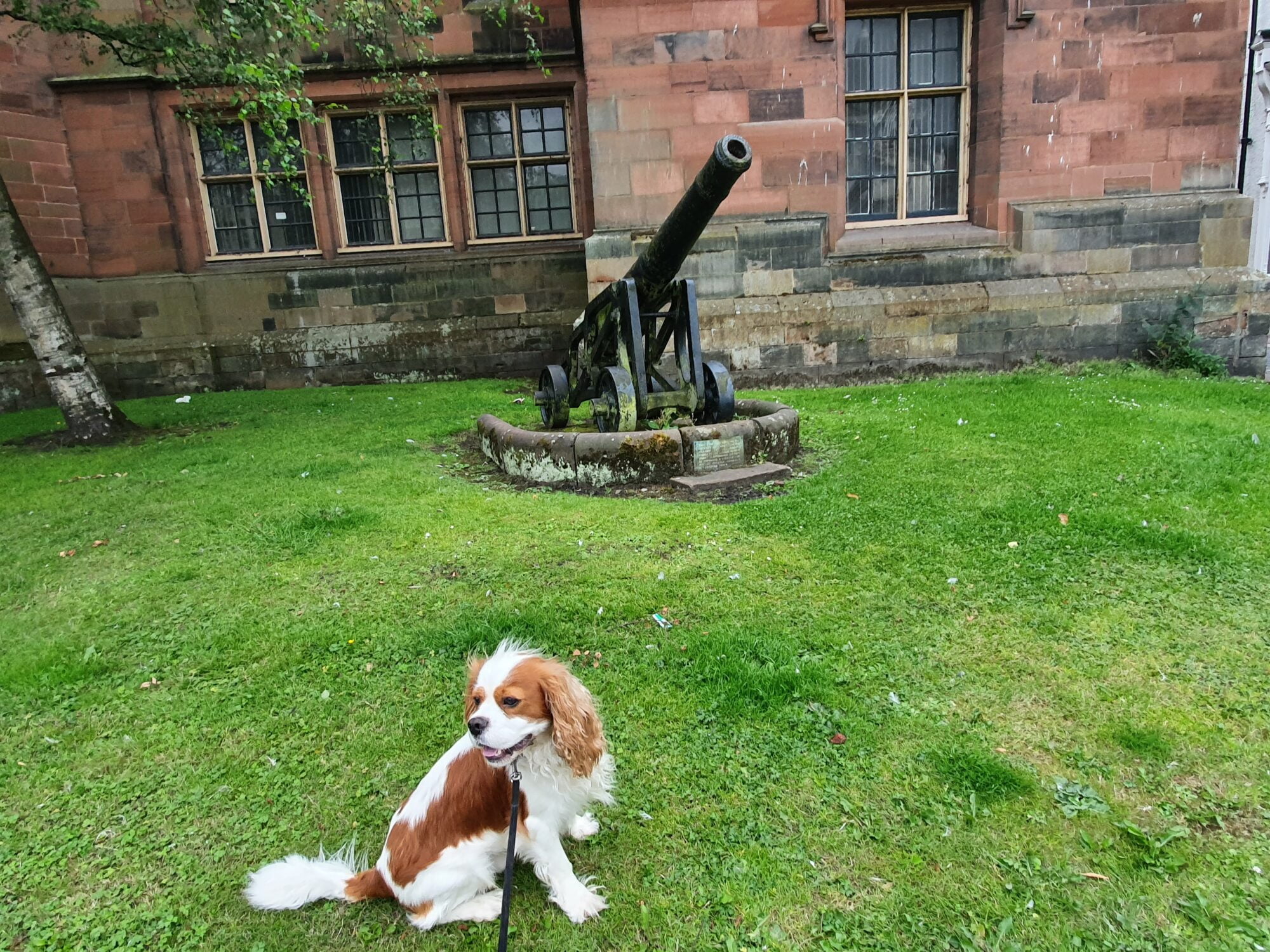 Is Carlisle Worth Visiting With A Dog