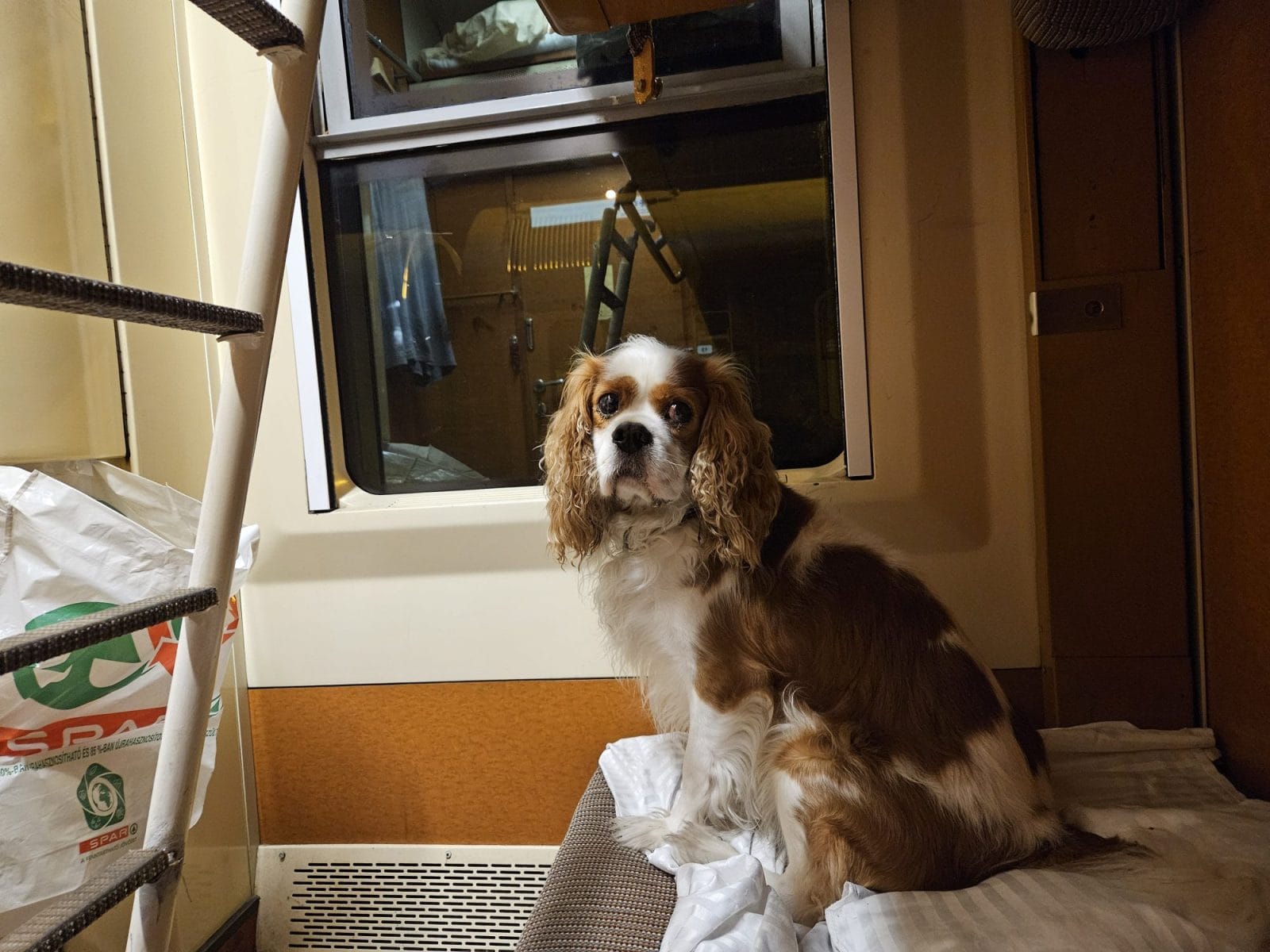 Night Train