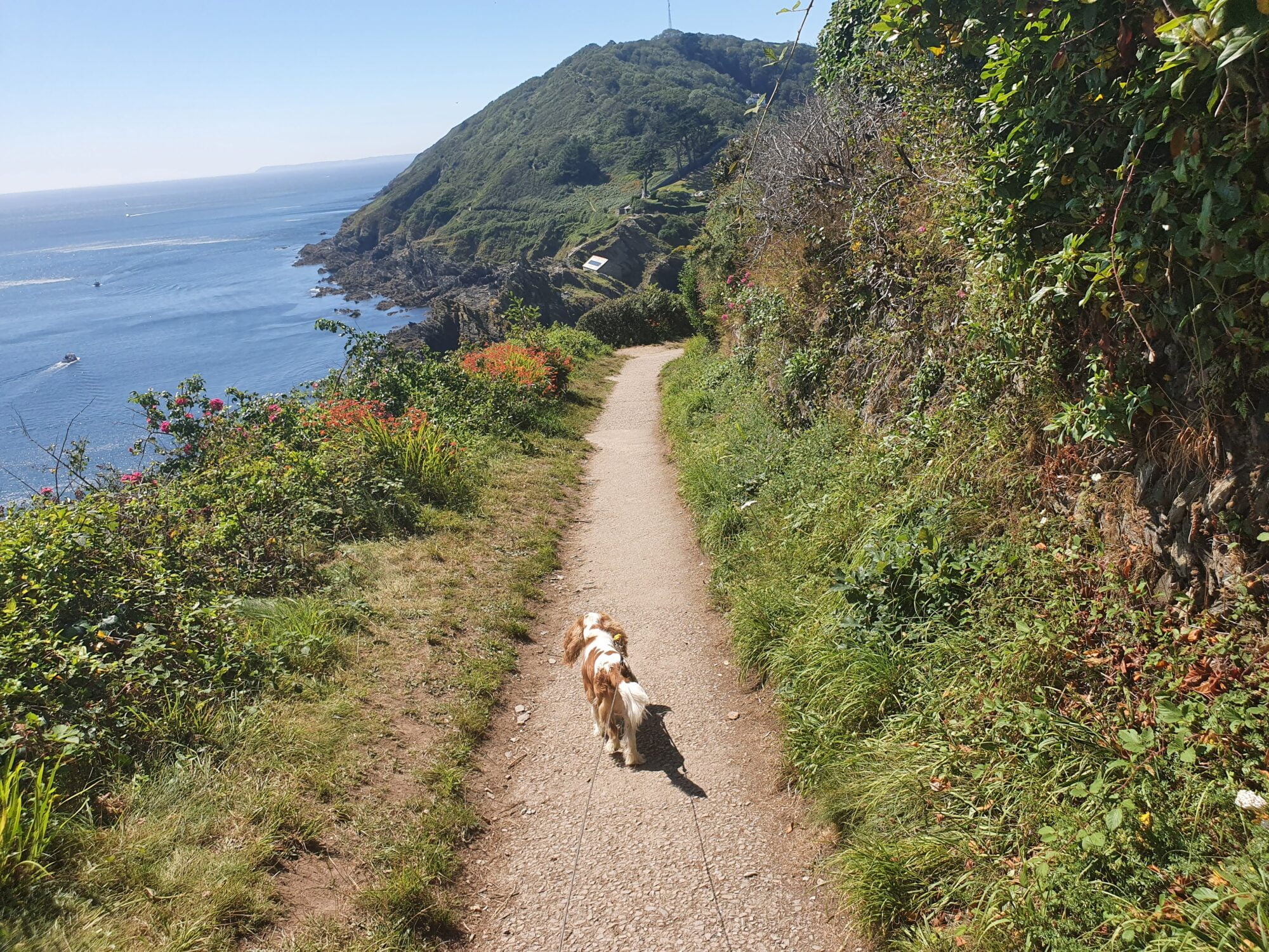 Polperro Coast