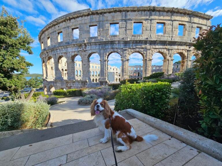 Pula Arena