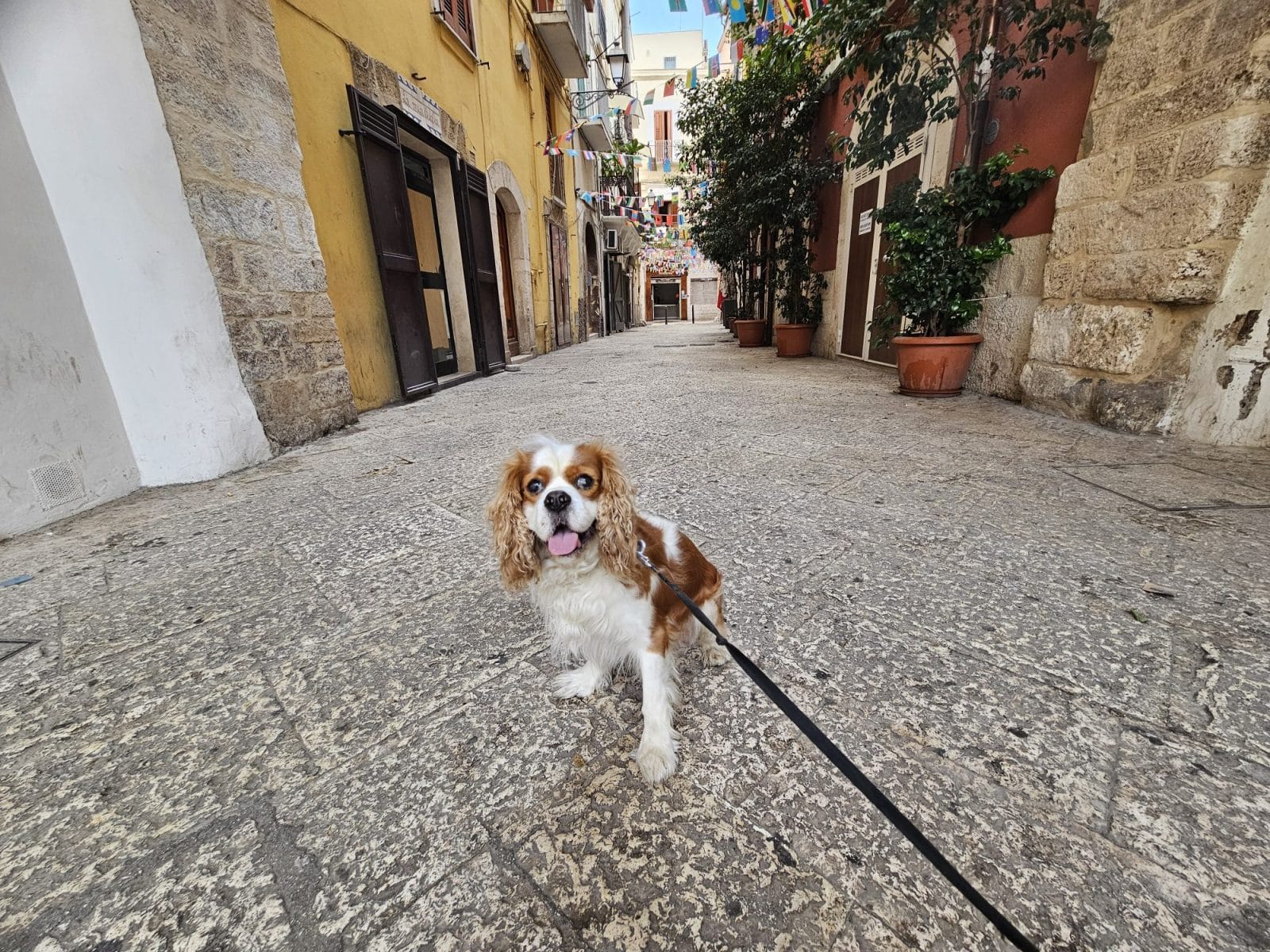 Side Streets of Bari