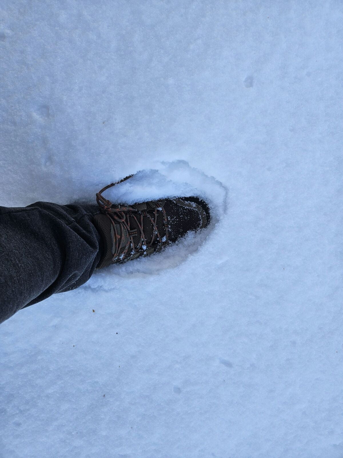 Snow Hiking shoes