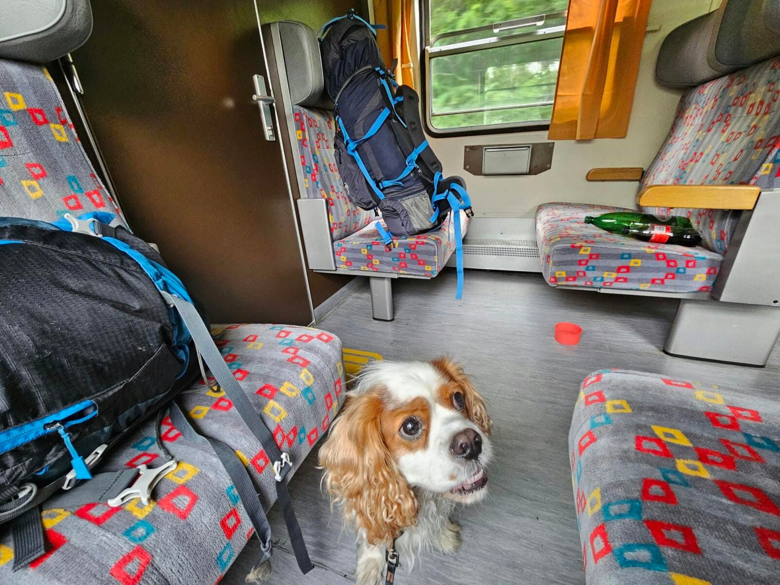 Train Slovenia to Croatia