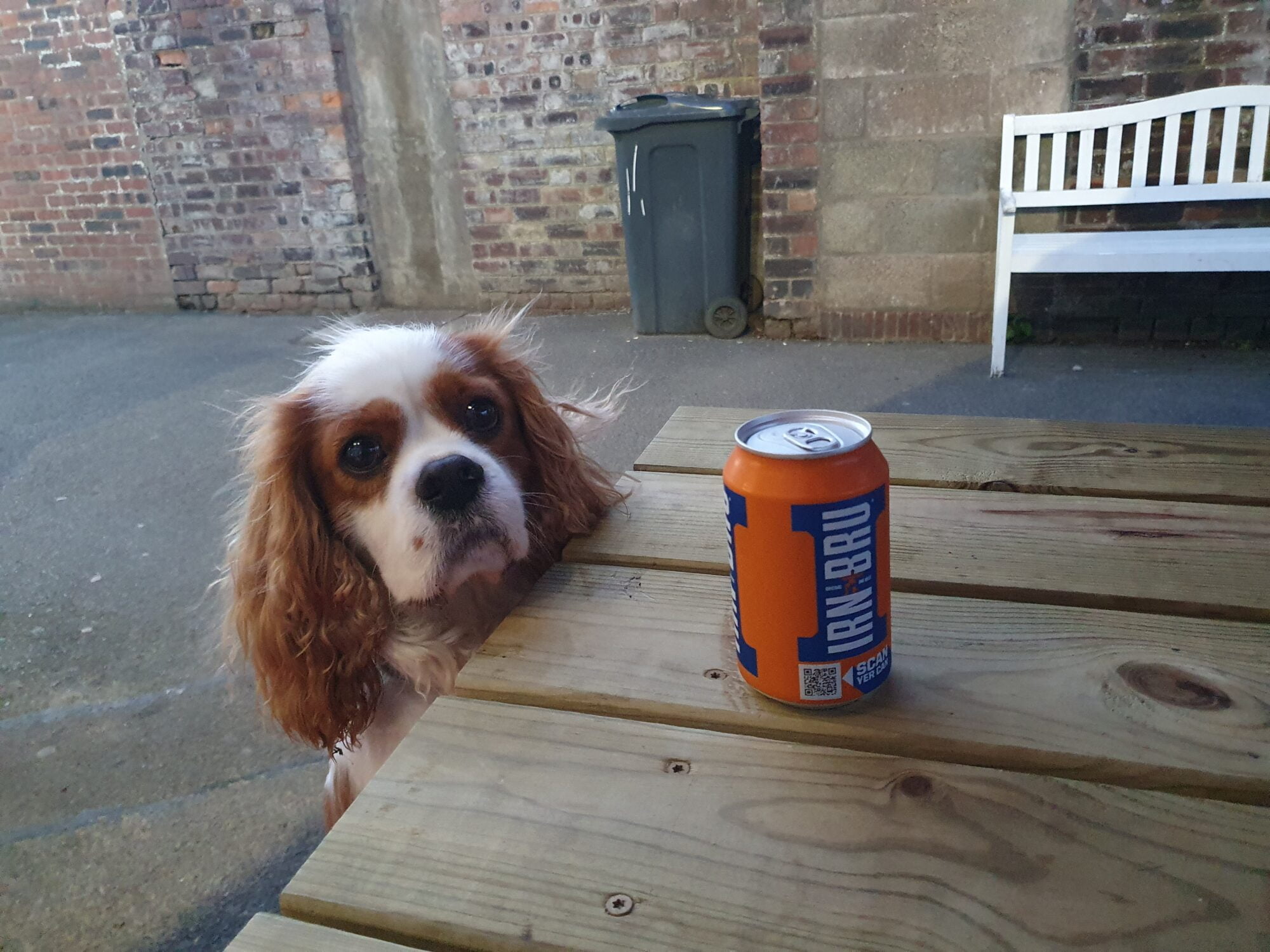 Irn Bru