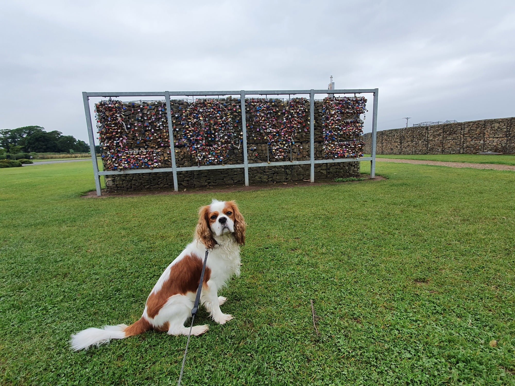 Wall of Love Henry