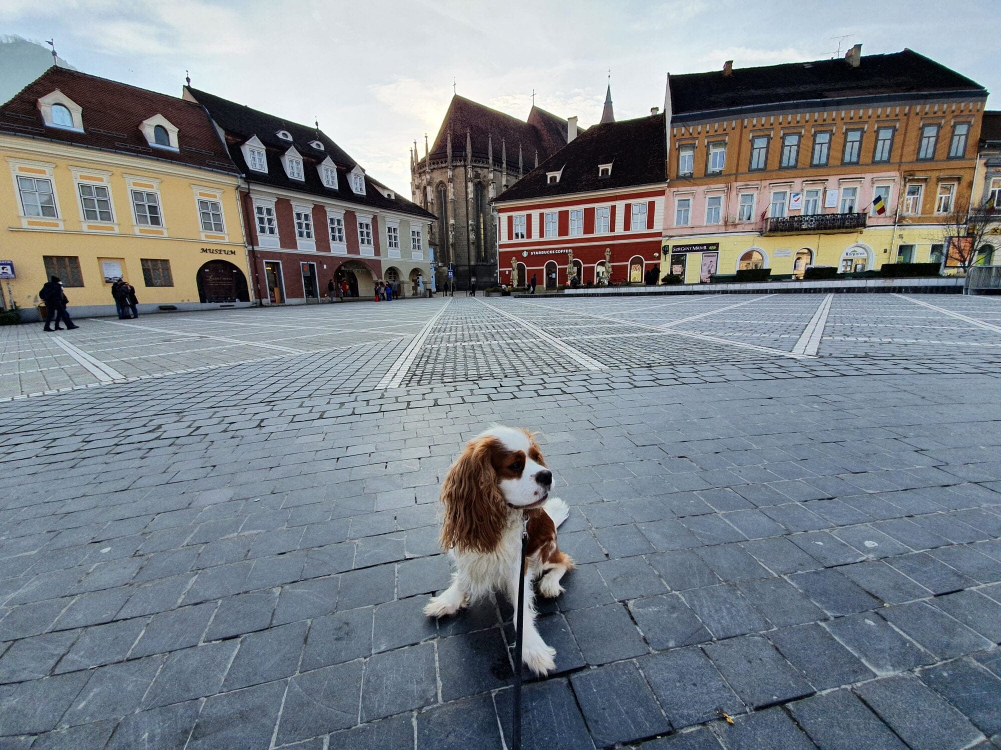 Places to visit in Romania