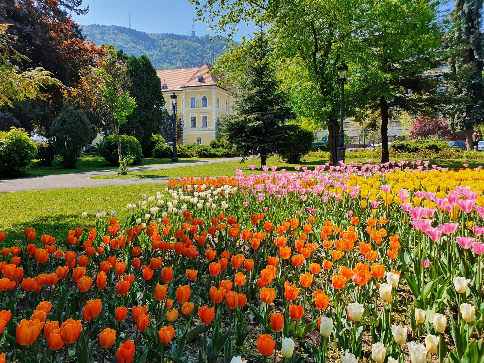 Parks in Brasov