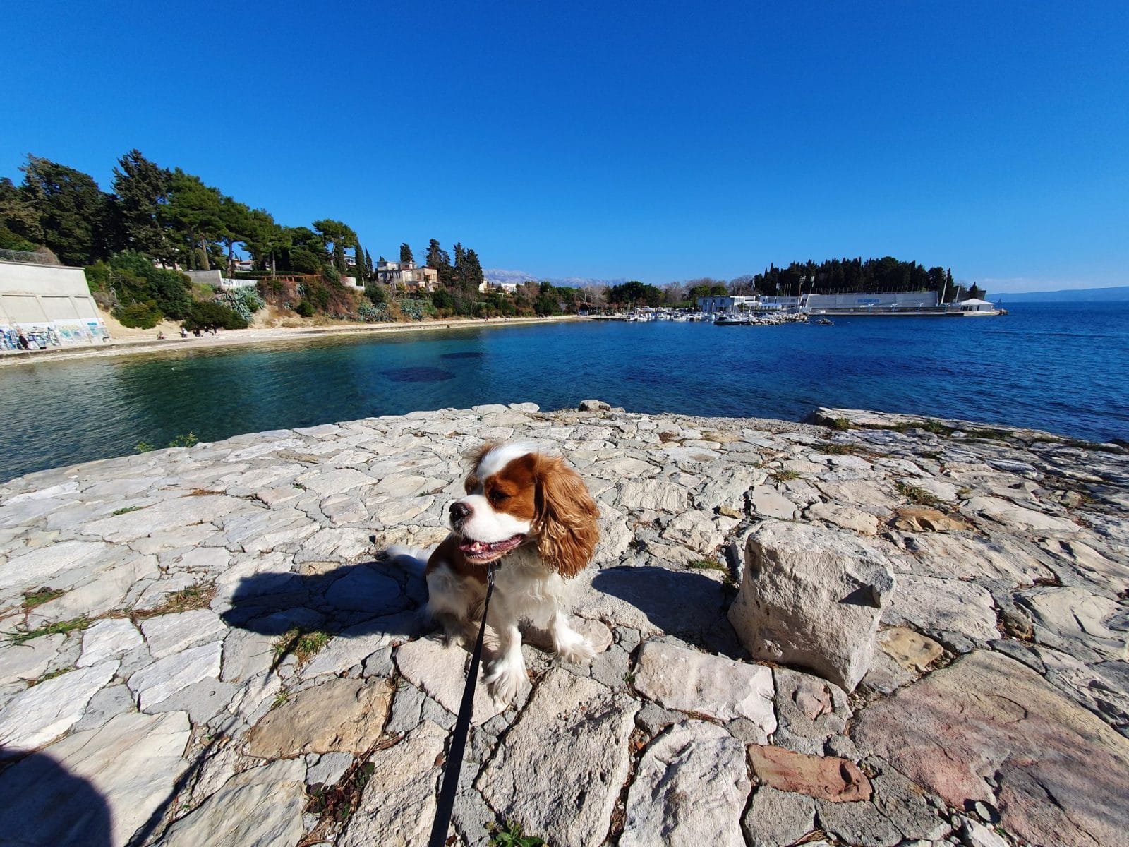 Coast Walks