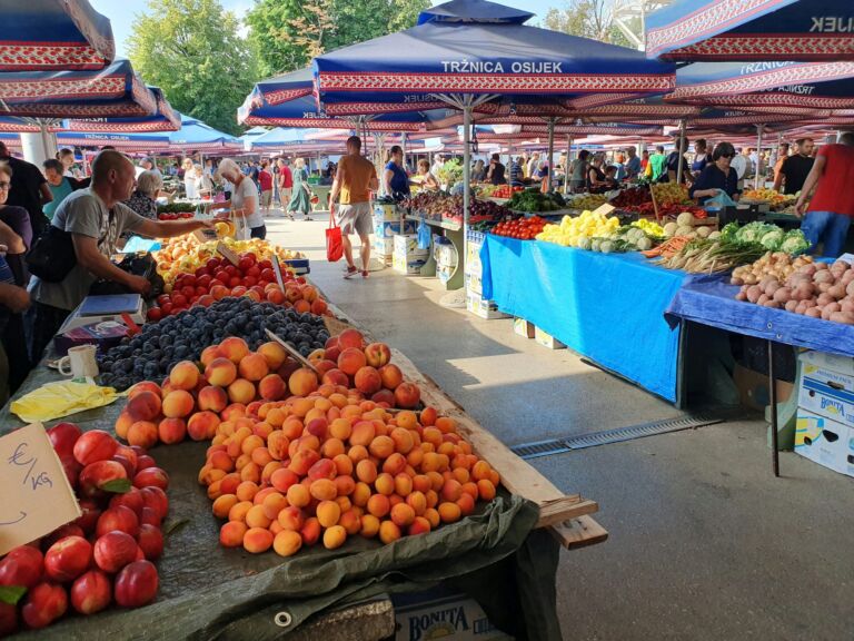 Fruit Market