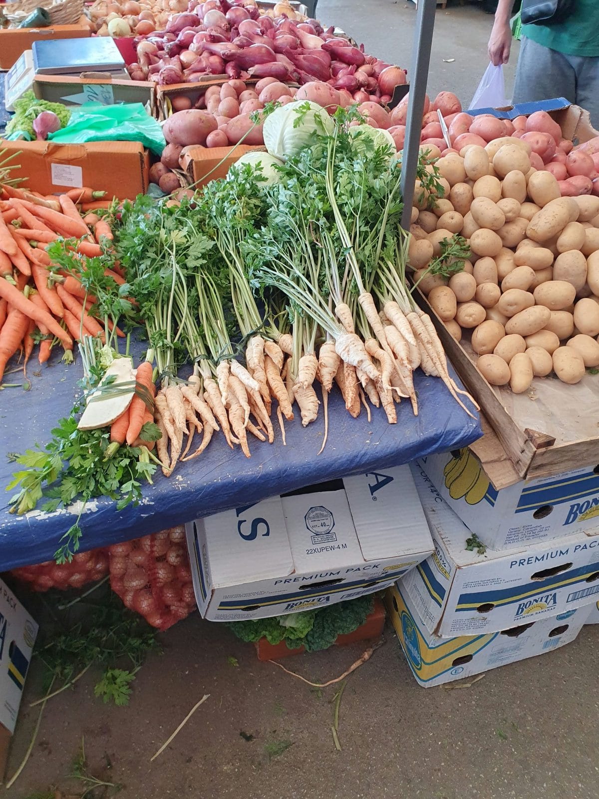 Parsnips