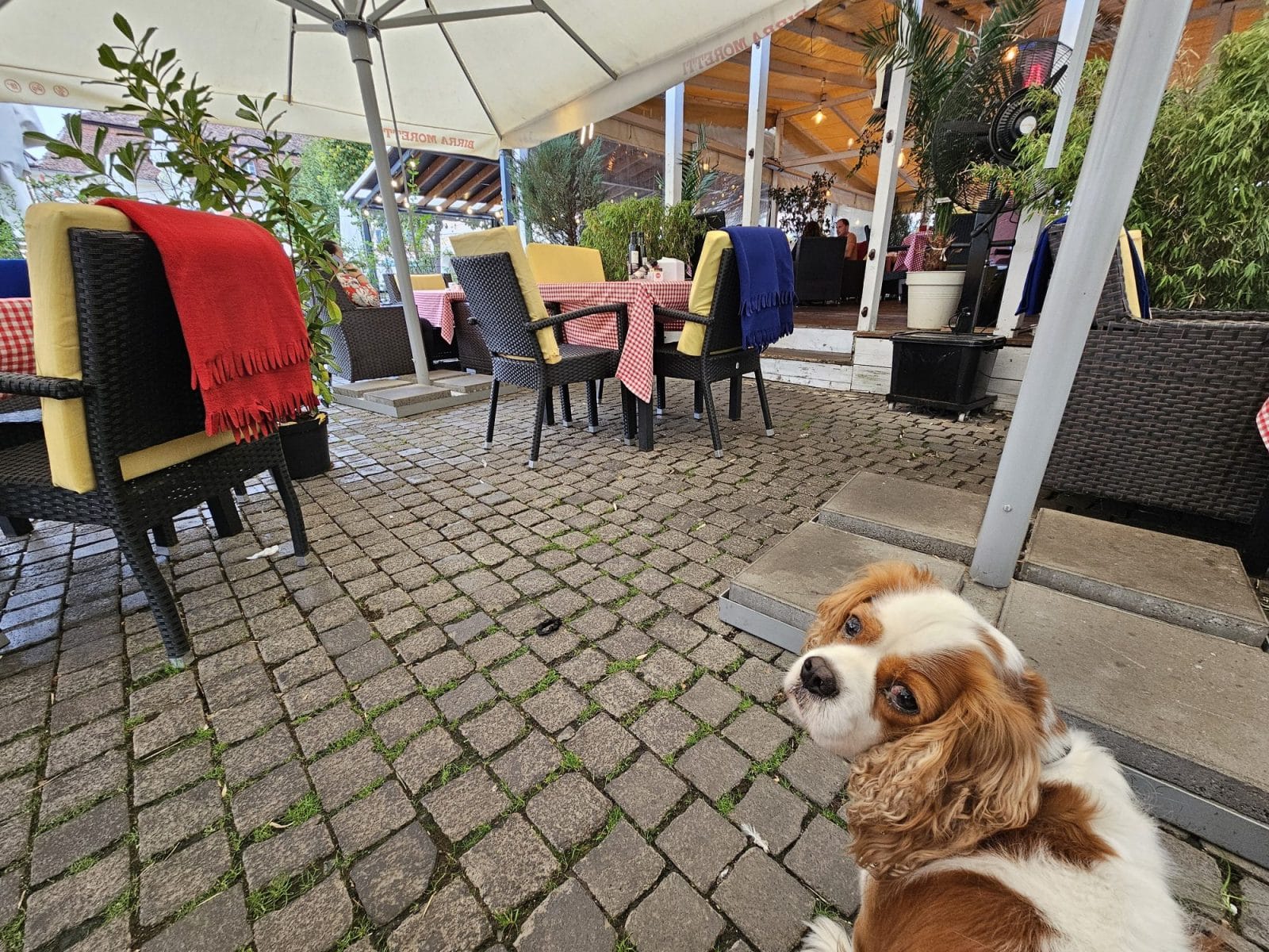 Restaurant Baroc Cafe