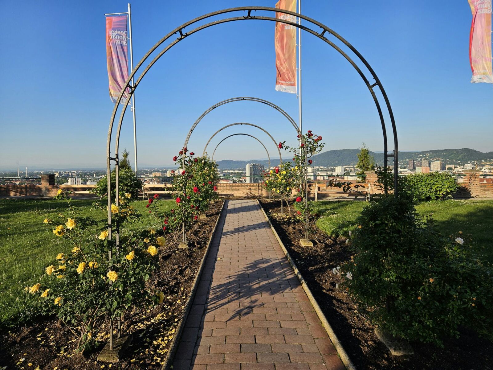 Citizens Bastion Roses
