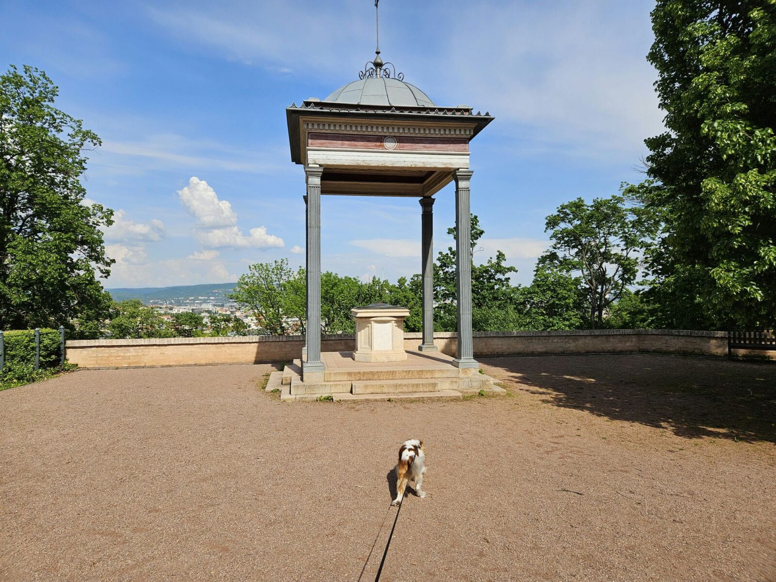 Dog walk castle park