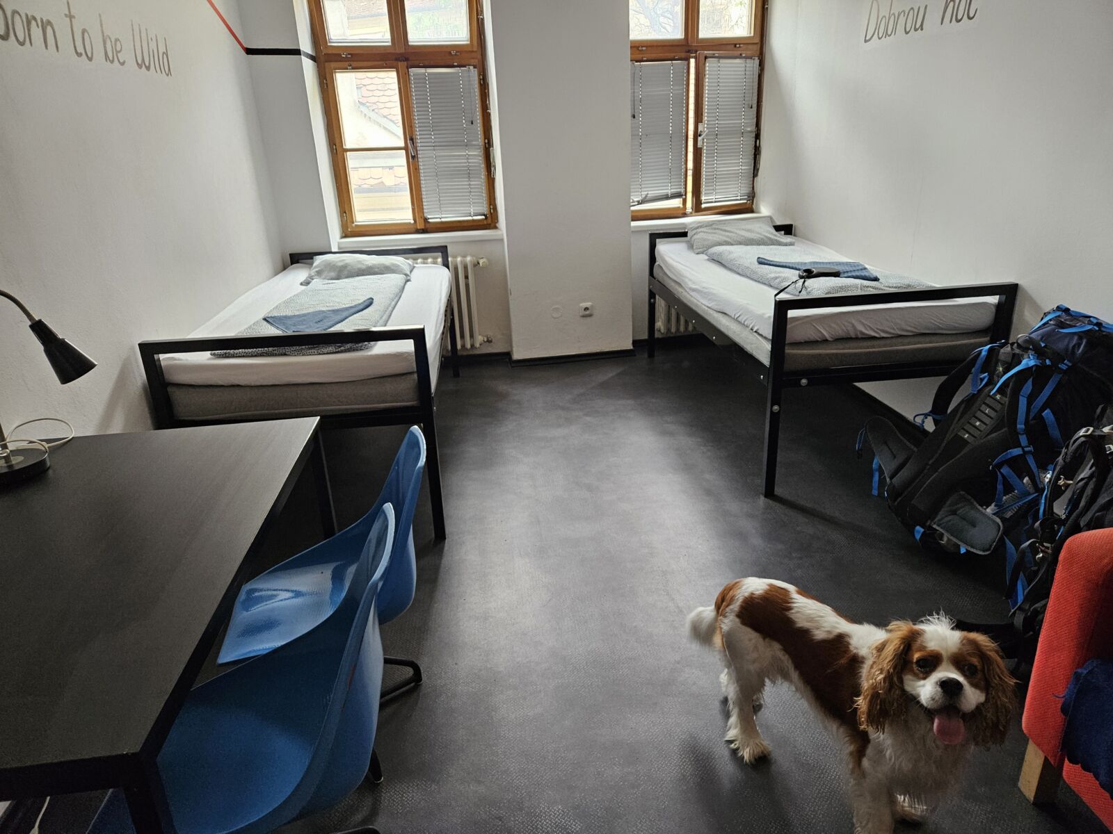 Hostel Brno