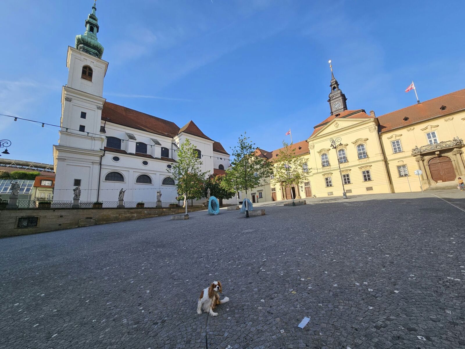 Is Brno Dog Friendly
